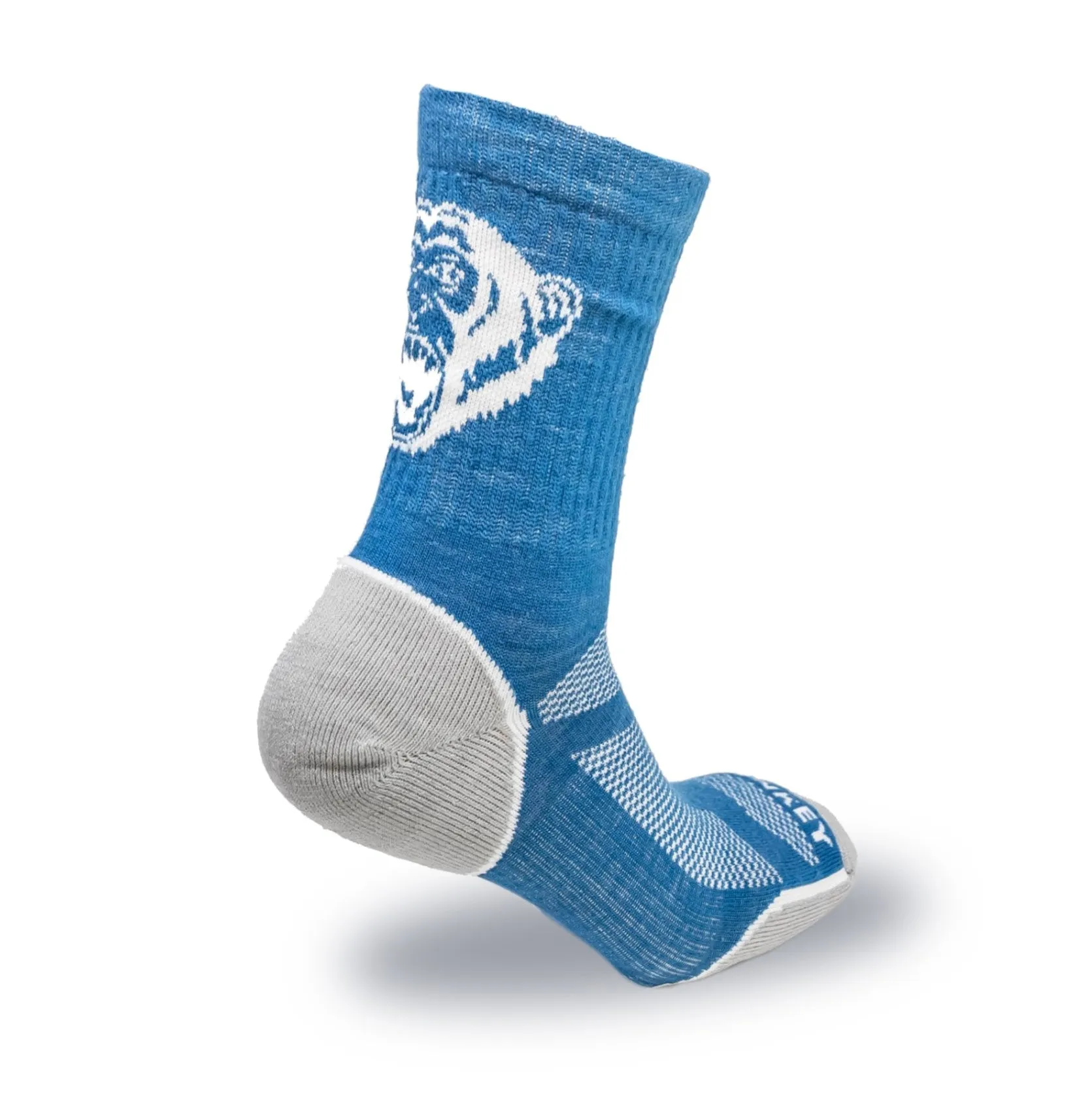 2-Pair Lightweight Merino Socks (Royal)