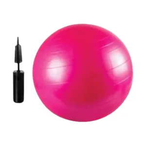 Pulse Active Exercise Yoga Fitness Ball 65cm