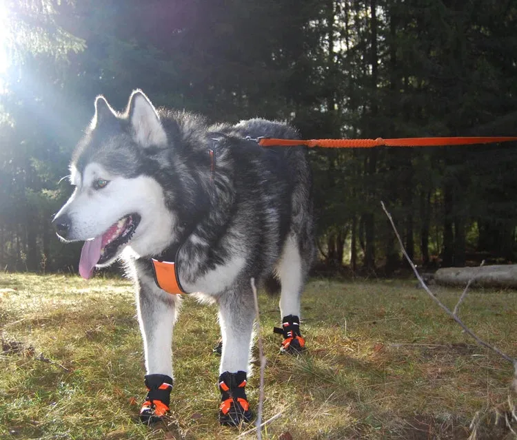 Waterproof Reflective Pet Boots for Dogs